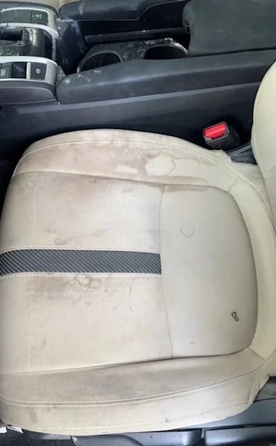 Vehicle before mobile detailing — CastroShines Mobile Detailing Greenville SC (set 7)