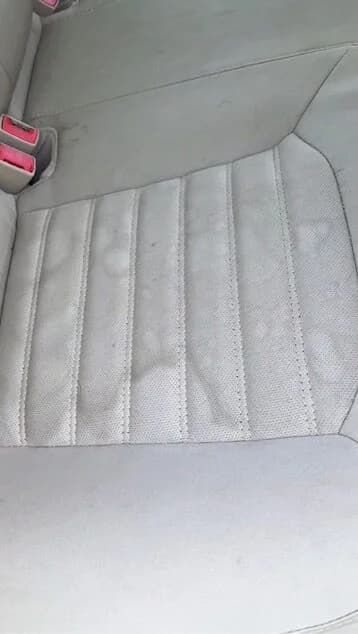 Vehicle before mobile detailing — CastroShines Mobile Detailing Greenville SC (set 9)