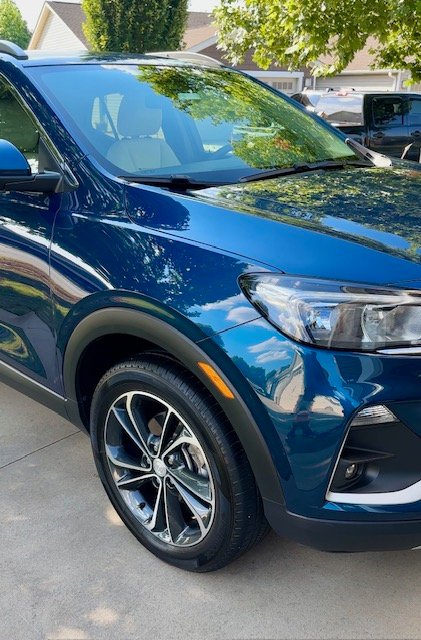 Home paint correction greenville sc