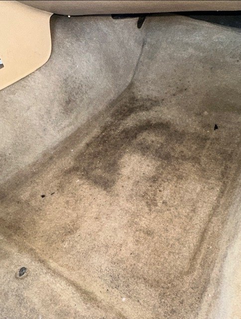 carpet before